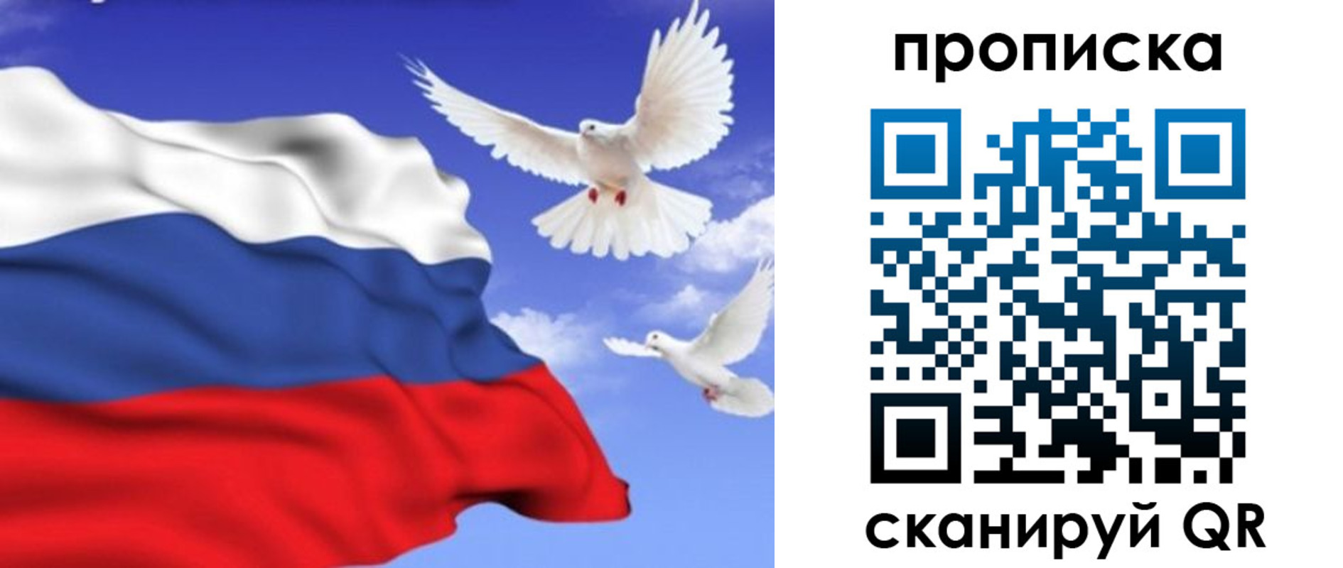 временная регистрация гарантия в Давлеканово